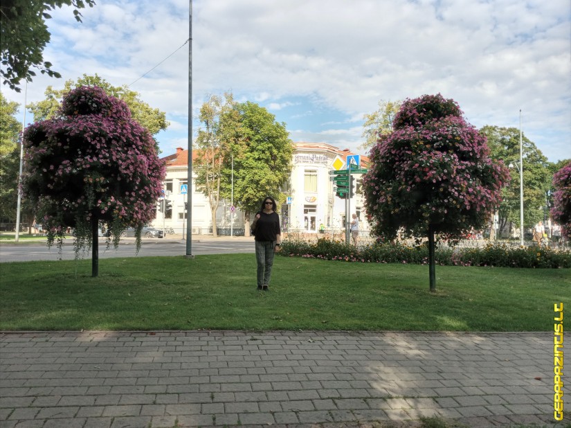 moteris iesko vyro kaunas laurute